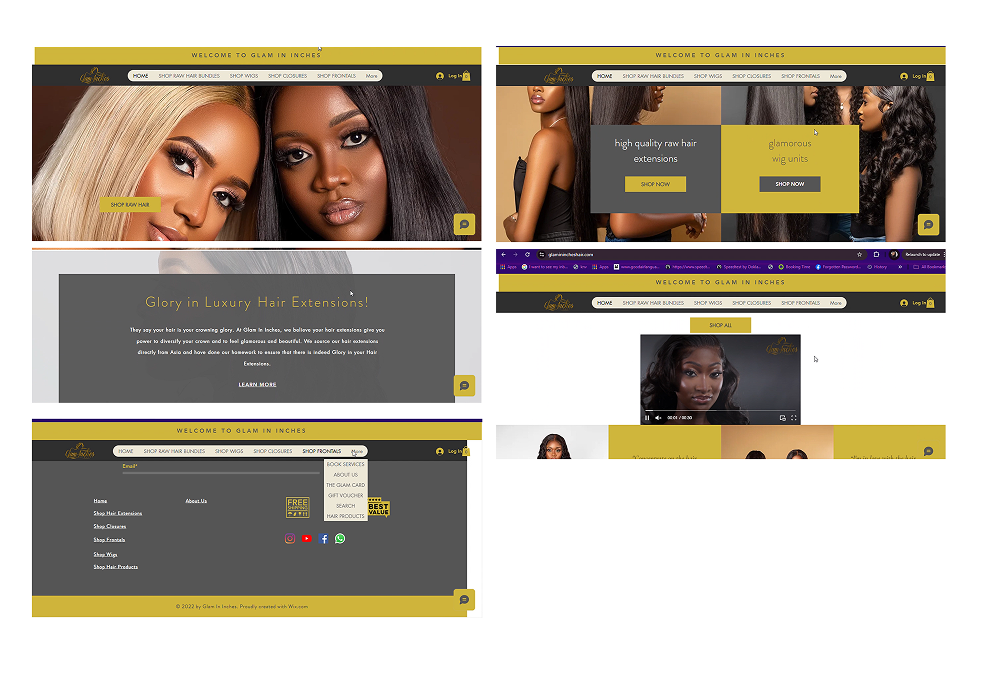 Previous Website Design